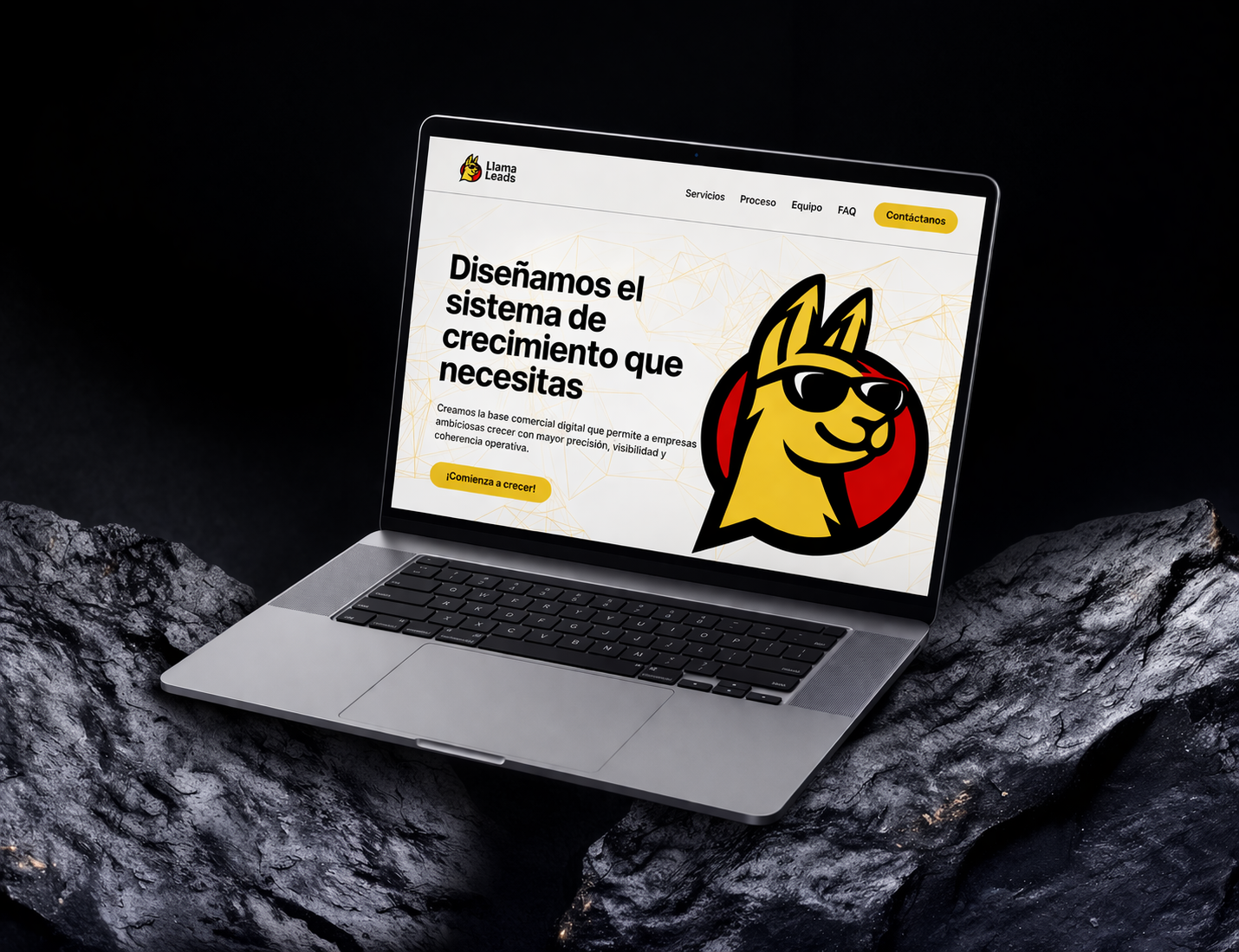 LlamaLeads - Web Redesign